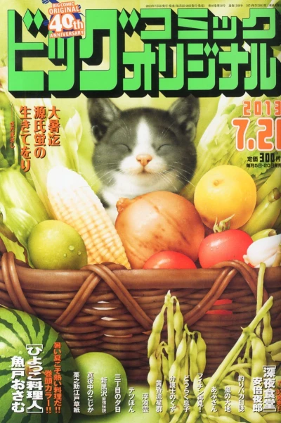 Cover of No. 14, 2013