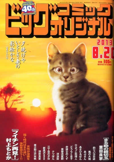 Cover of No. 16, 2013