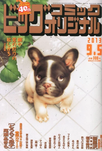 Cover of No. 17, 2013