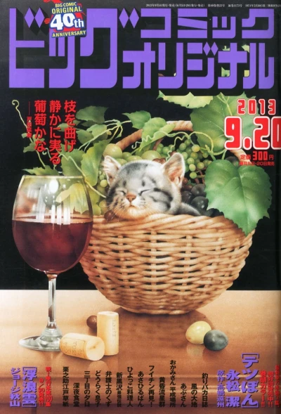 Cover of No. 18, 2013