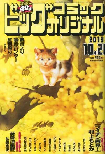 Cover of No. 20, 2013