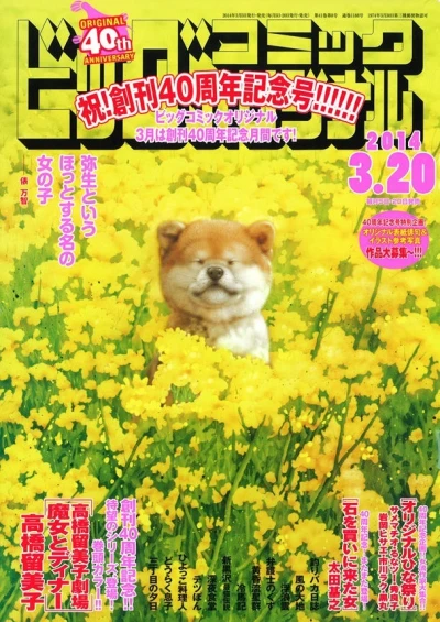 Cover of No. 6, 2014