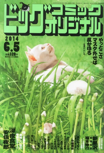 Cover of No. 11, 2014