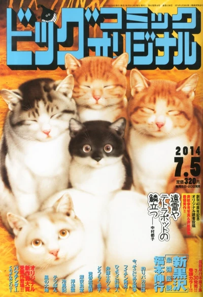 Cover of No. 13, 2014
