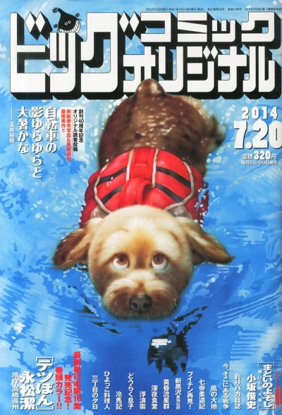 Cover of No. 14, 2014