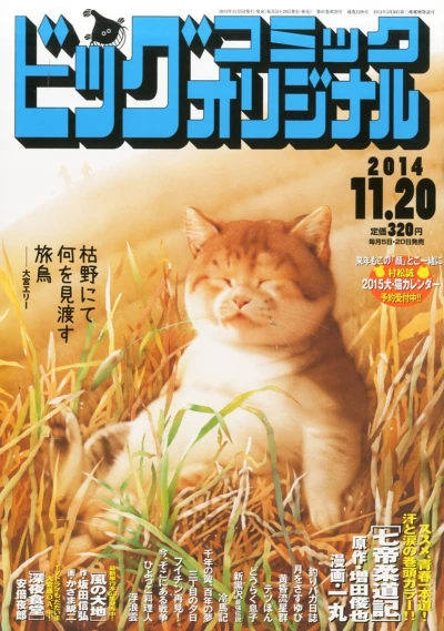 Cover of No. 22, 2014