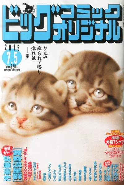 Cover of No. 13, 2015