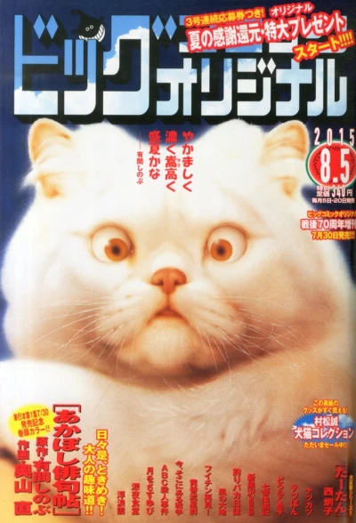 Cover of No. 15, 2015