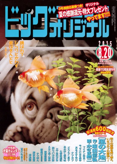 Cover of No. 16, 2015