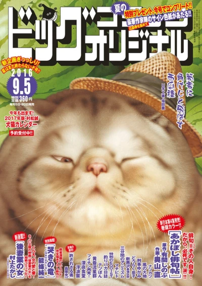 Cover of No. 17, 2016