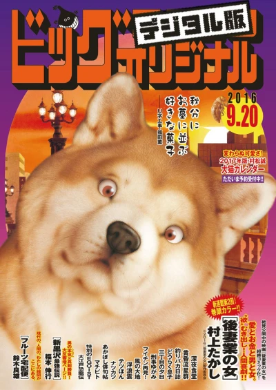 Cover of No. 18, 2016