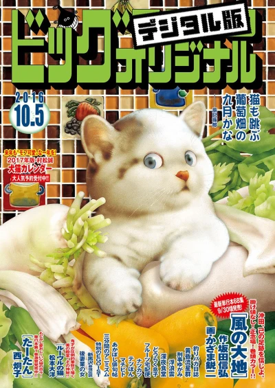 Cover of No. 19, 2016