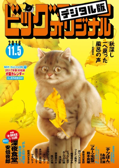 Cover of No. 21, 2016