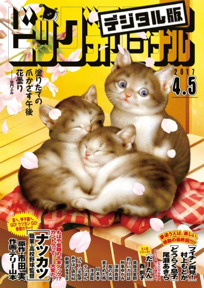 Cover of No. 7, 2017