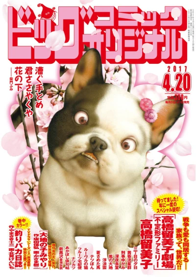 Cover of No. 8, 2017