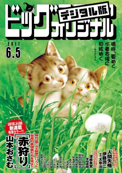 Cover of No. 11, 2017