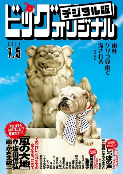 Cover of No. 13, 2017