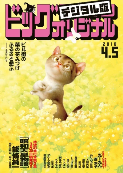Cover of No. 7, 2018
