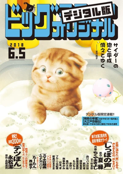 Cover of No. 11, 2018
