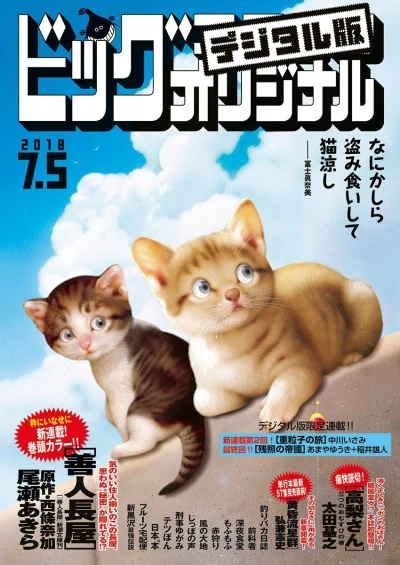 Cover of No. 13, 2018