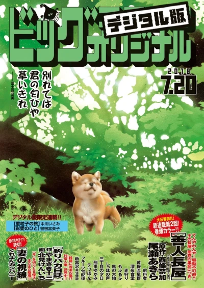 Cover of No. 14, 2018