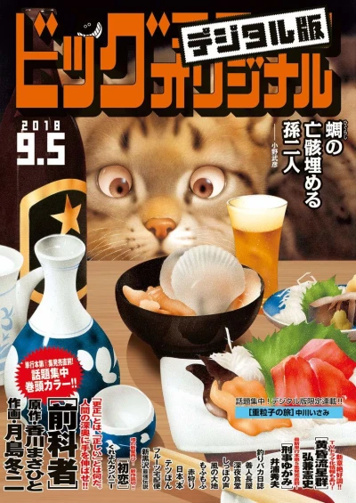 Cover of No. 17, 2018
