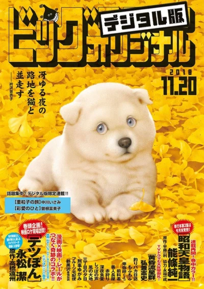 Cover of No. 22, 2018