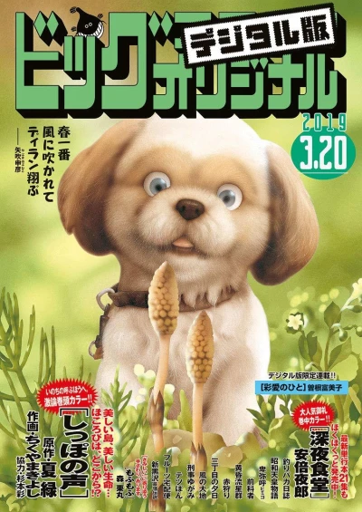 Cover of No. 6, 2019