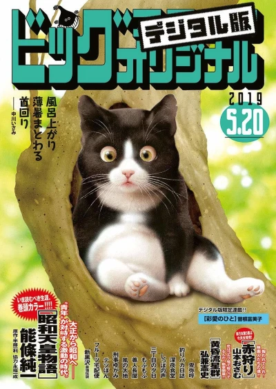 Cover of No. 10, 2019