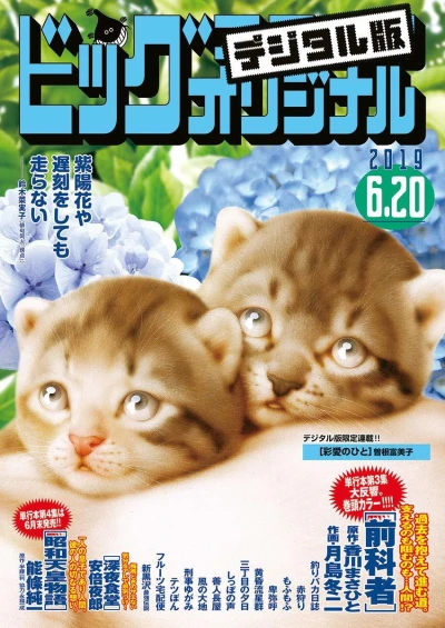 Cover of No. 12, 2019