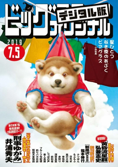 Cover of No. 13, 2019