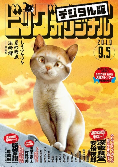 Cover of No. 17, 2019