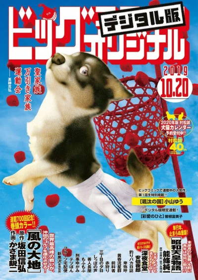 Cover of No. 20, 2019