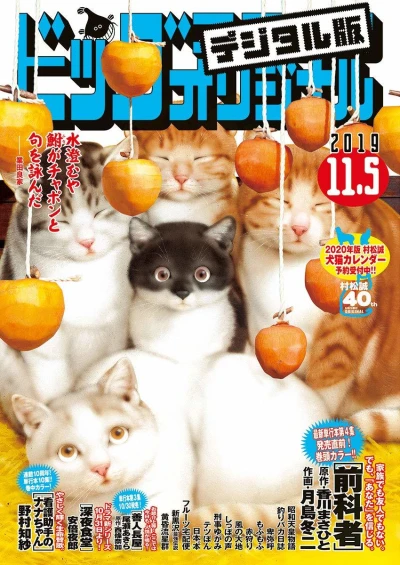 Cover of No. 21, 2019