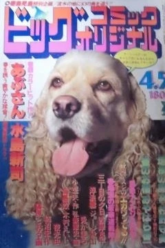Cover of No. 7, 1979