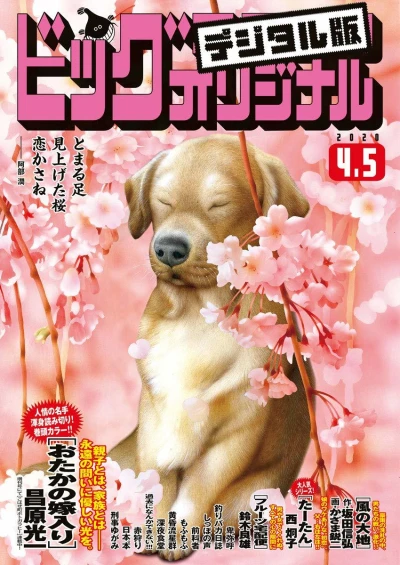 Cover of No. 7, 2020