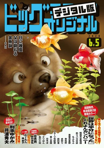 Cover of No. 11, 2020