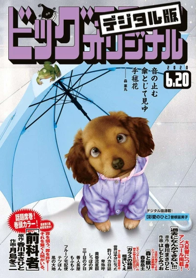 Cover of No. 12, 2020