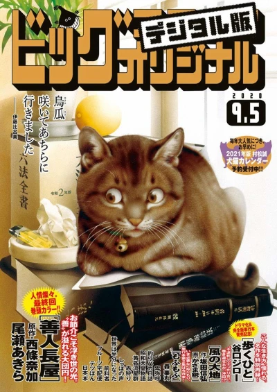 Cover of No. 17, 2020