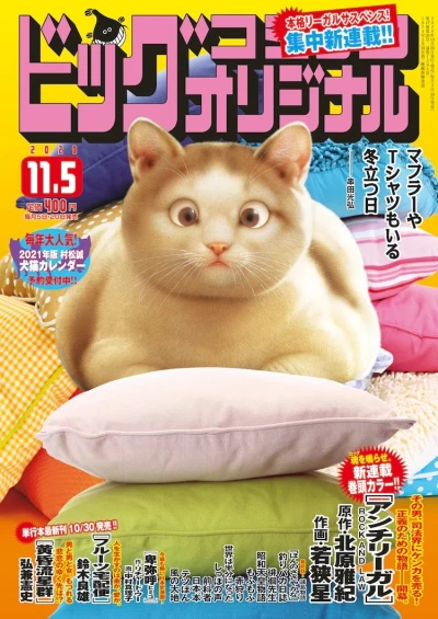 Cover of No. 21, 2020