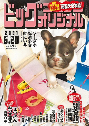 Cover of No. 12, 2021