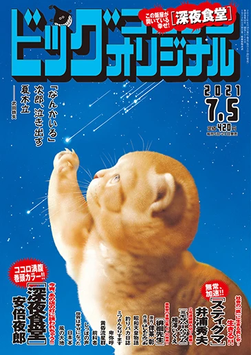 Cover of No. 13, 2021