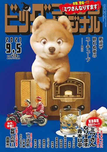 Cover of No. 17, 2021