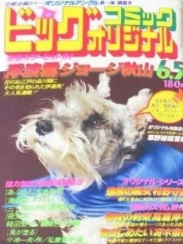 Cover of No. 11, 1979