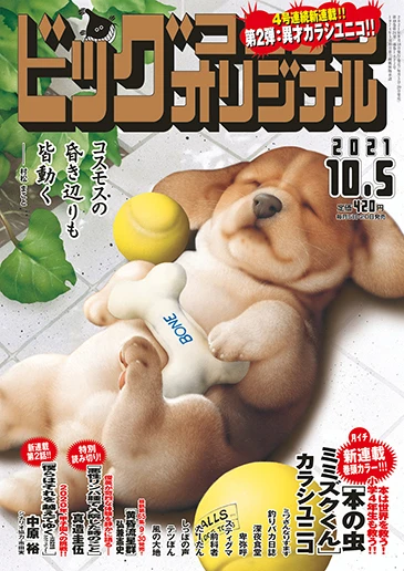 Cover of No. 19, 2021