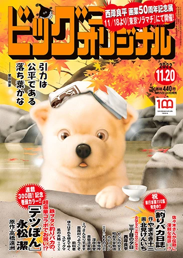 Cover of No. 22, 2022