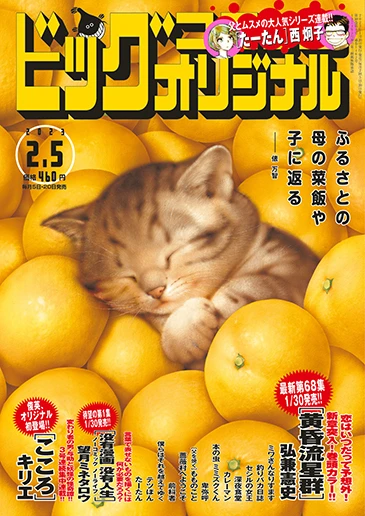 Cover of No. 3, 2023