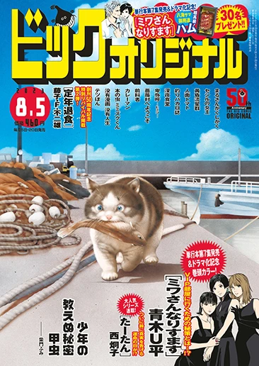 Cover of No. 15, 2023
