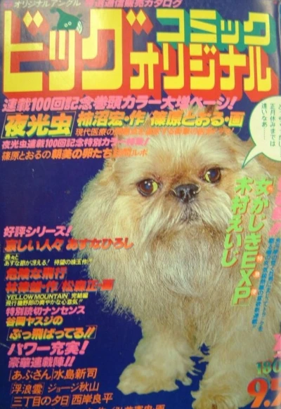 Cover of No. 17, 1979