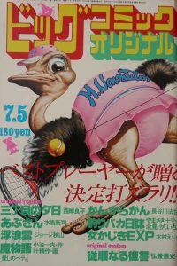 No. 13, 1980
